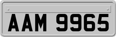 AAM9965