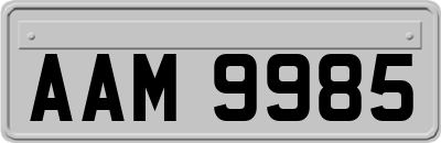 AAM9985