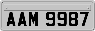 AAM9987