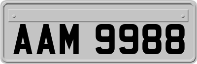 AAM9988