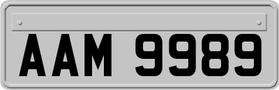 AAM9989