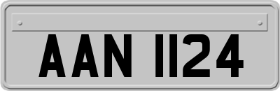 AAN1124