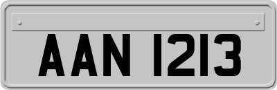 AAN1213