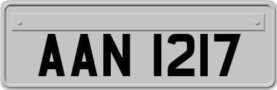 AAN1217
