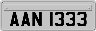 AAN1333