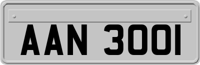 AAN3001