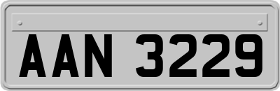 AAN3229
