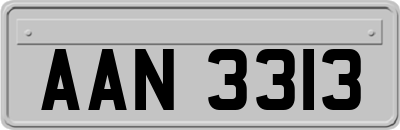 AAN3313