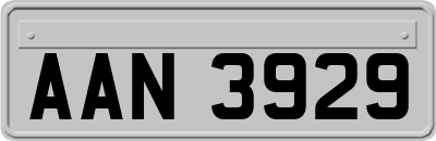 AAN3929