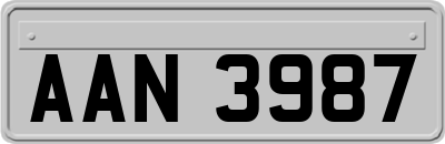 AAN3987