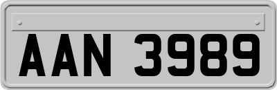 AAN3989