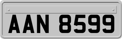 AAN8599