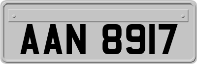 AAN8917