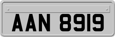 AAN8919