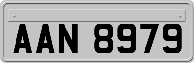 AAN8979