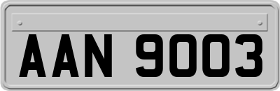 AAN9003