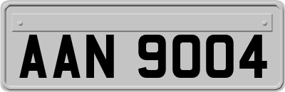 AAN9004