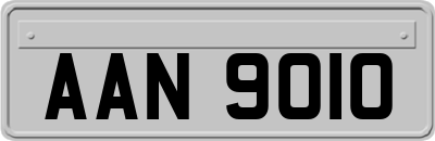 AAN9010