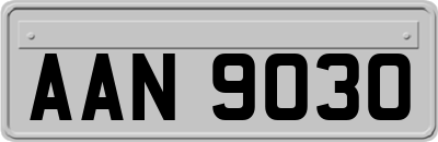 AAN9030