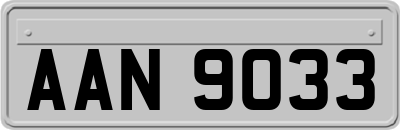 AAN9033
