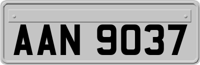 AAN9037