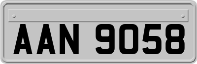 AAN9058