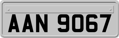 AAN9067