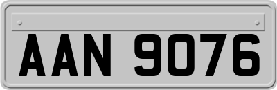 AAN9076