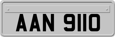 AAN9110