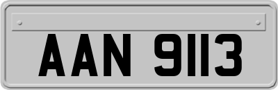 AAN9113