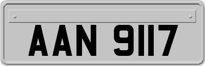 AAN9117