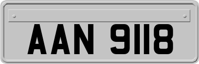 AAN9118