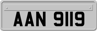 AAN9119