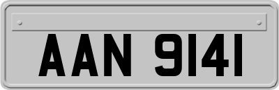 AAN9141