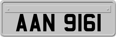AAN9161