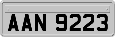 AAN9223