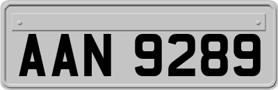 AAN9289