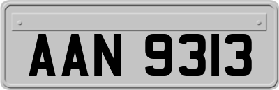 AAN9313