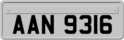 AAN9316