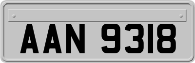 AAN9318