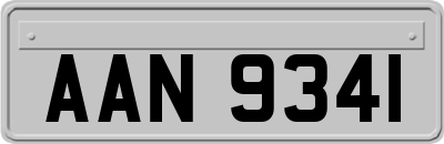 AAN9341