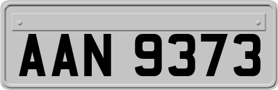 AAN9373