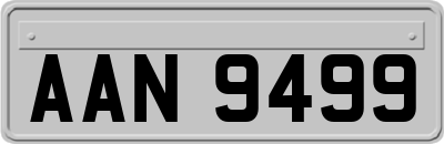 AAN9499
