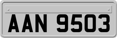 AAN9503