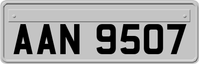 AAN9507