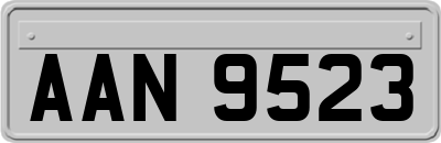 AAN9523