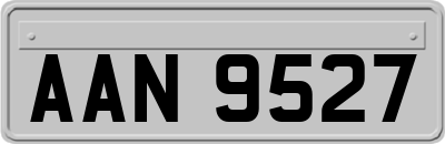 AAN9527