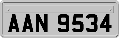 AAN9534