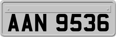AAN9536