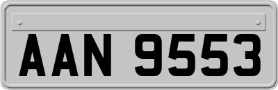 AAN9553